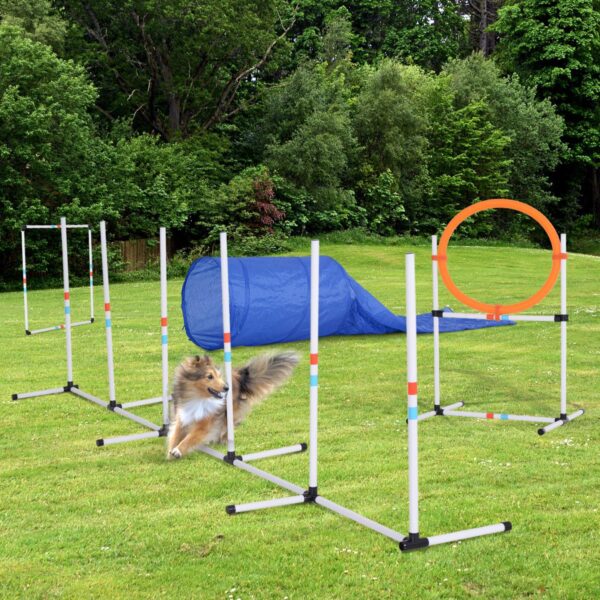 Dog Agility Equipment Training Set Carry Bag Adjustable (Pole + Hoop + Hurdle+Tunnel + Pause Box) - in use view