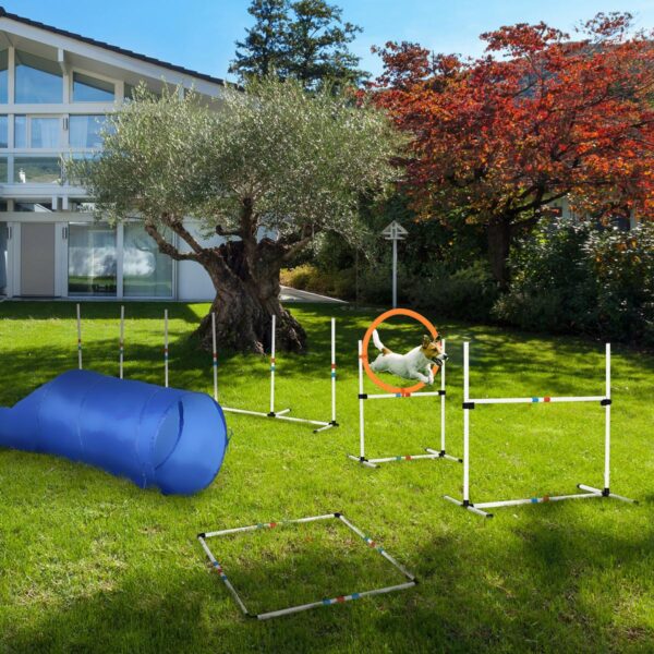Dog Agility Set - Adjustable Poles, Tunnel & Pause Box with Carry Bag - white background view