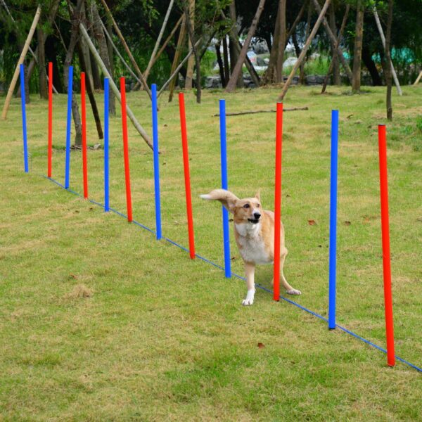 PetsMania Pet Agility Training Equipment Dog Play Run Obedience Training Set Adjustable (Poles) - in use view