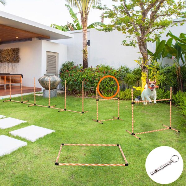Dog Agility Equipment Pet Training Set with Adjustable Height Jump Ring Hurdle Whistle Weave Poles Square Pause Box Carry Bag - in use view
