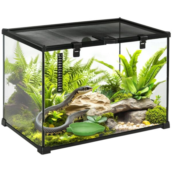 Glass Reptile Terrarium - Insect Breeding Tank - white background view