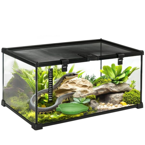 Glass Reptile Terrarium - Insect Breeding Tank - white background view