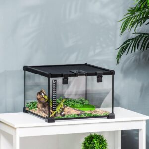 Glass Reptile Terrarium Insect Breeding Tank Vivarium Habitats with Thermometer for Lizards, Horned Frogs, Snakes, Spiders - Small 30 x 30 x 20cm - in use view
