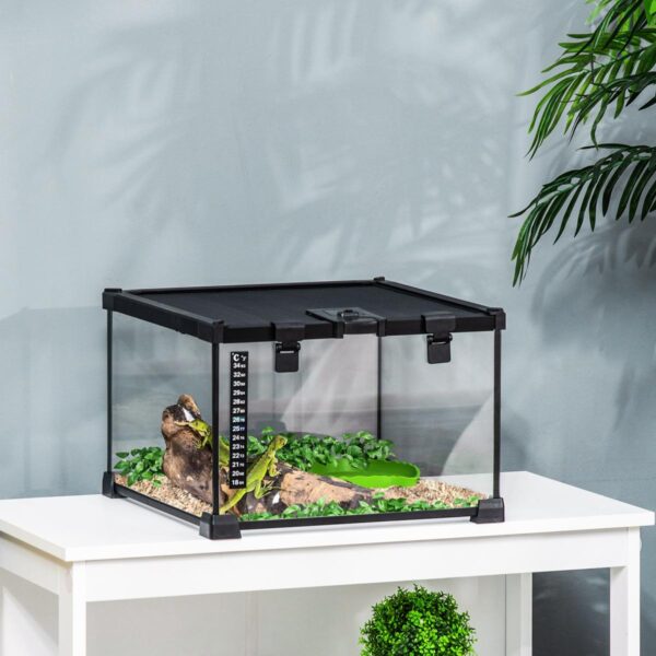Glass Reptile Terrarium Insect Breeding Tank Vivarium Habitats with Thermometer for Lizards, Horned Frogs, Snakes, Spiders - Small 30 x 30 x 20cm - in use view