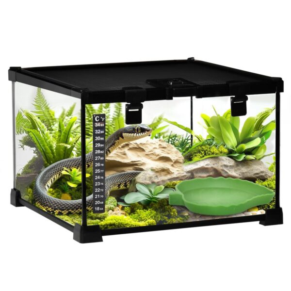 Glass Reptile Terrarium - Insect Breeding Tank - white background view