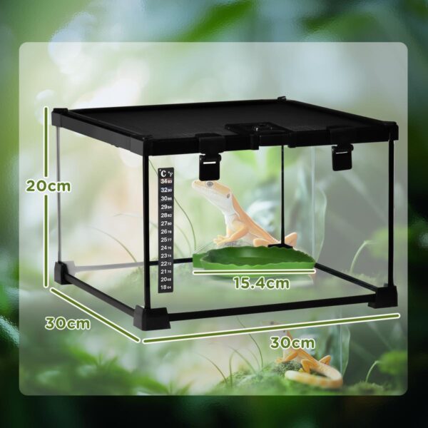 Glass Reptile Terrarium - Insect Breeding Tank - dimensions view