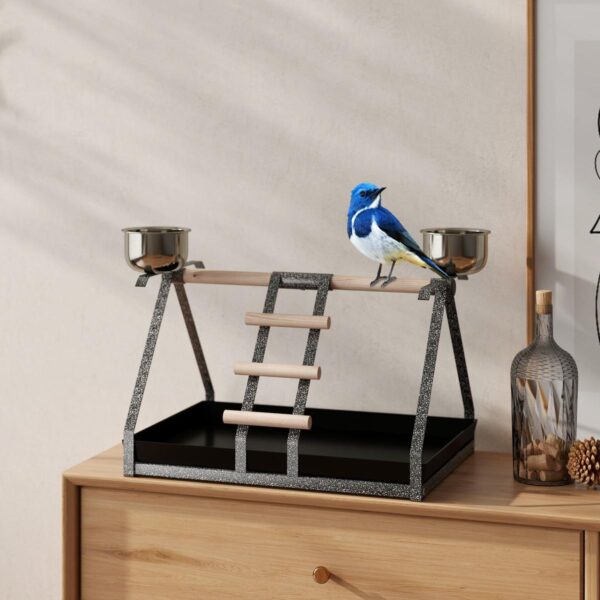 Parrot Stand Bird Stand withWood Perch Ladder Feeder Removable Tray - in use view