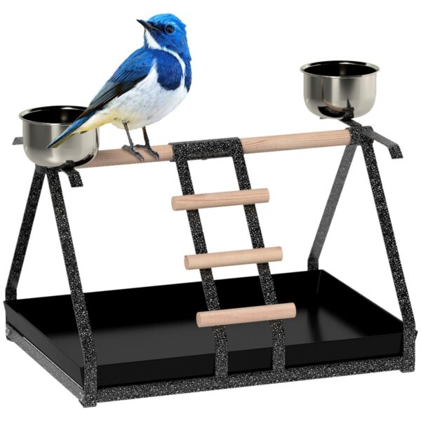 Parrot Stand - Bird Feeder with Wood Perch & Ladder, Removable Tray - white background view
