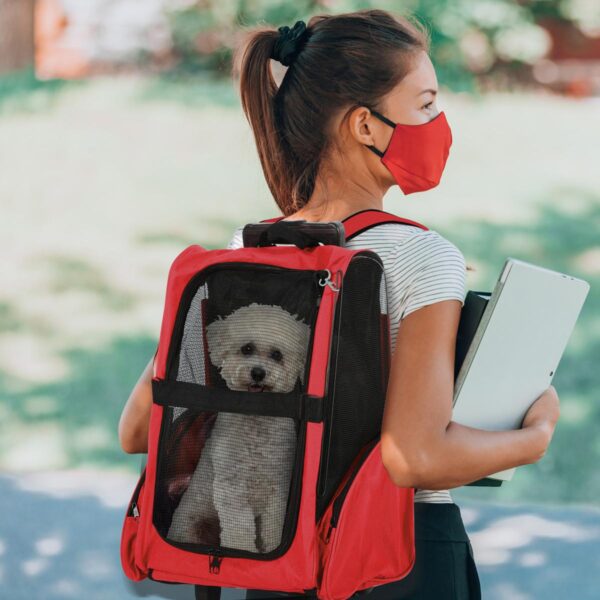 PetsMania Pet Travel Backpack Bag Cat Puppy Dog Carrier w/ Trolley and Telescopic Handle Portable Stroller Wheel Luggage Bag (Red) - in use view