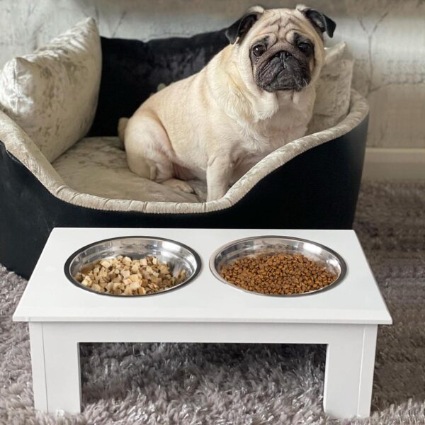 PetsMania Raised Dog Feeding Bowls with Stand, Stainless Steel for Extra Small and Small Dog, 44L x 24W x 15H cm - White - in use view